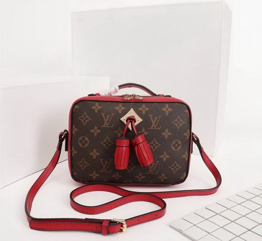 Lu bags 2020-10-28-461